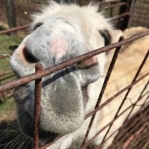 Meet your Posher, Ty